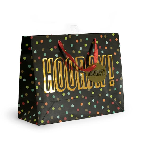 Gift Bags – Everyday Designs | Hooray! Matt Gift Bags With Gold Foil Print Bags Gift Bags - Everyday Designs