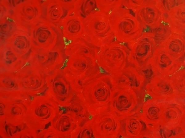 Tissue Paper Reams – Bulk | Tissue Paper Ream 750Mm X 500Mm, 240 Sheets – Red Roses Gift Wrapping & Tissue Paper Tissue Paper Reams - Bulk