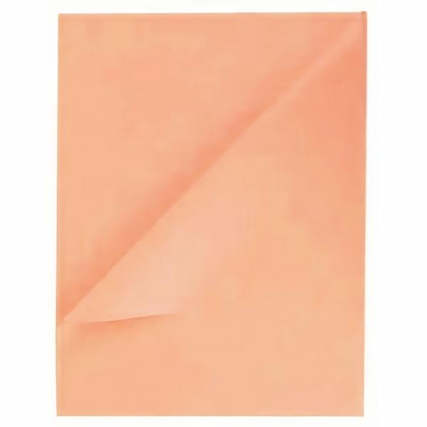 Tissue Paper Reams – Bulk | Tissue Paper Ream 750Mm X 500Mm, 480 Sheets – Blush Nude Gift Wrapping & Tissue Paper Tissue Paper Reams - Bulk