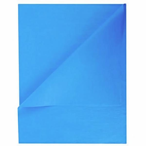 Tissue Paper Reams – Bulk | Tissue Paper Ream 750Mm X 500Mm, 480 Sheets – French Blue Gift Wrapping & Tissue Paper Tissue Paper Reams - Bulk