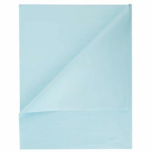 Tissue Paper Reams – Bulk | Tissue Paper Ream 750Mm X 500Mm, 480 Sheets – Light Blue Gift Wrapping & Tissue Paper Tissue Paper Reams - Bulk